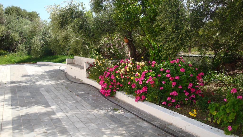 Calamon Apartments Эпископи Экстерьер фото
